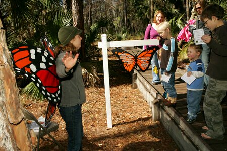 Babies butterfly enjoy