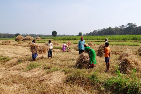 Kalghatgi dharwad india