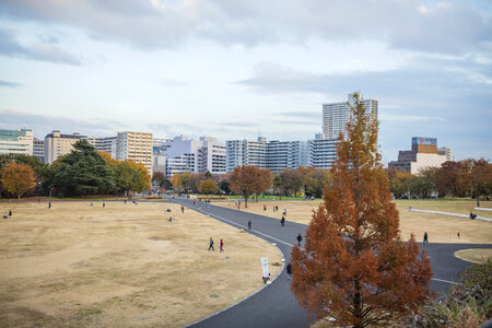 3 Showa Memorial Park