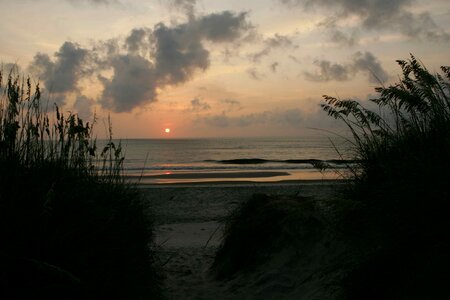 Coast dawn ocean photo