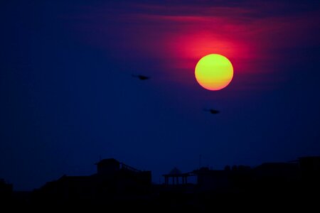 Sunset bird cityscape photo