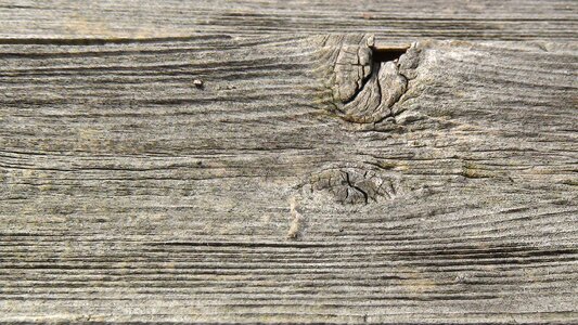Wood texture old wood natural