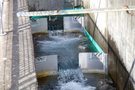 Spawning equipment-6