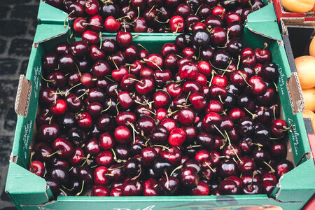 Dark red cherries photo