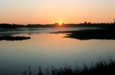 Camp dawn marsh photo