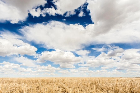 Clouds in Wheat Field photo