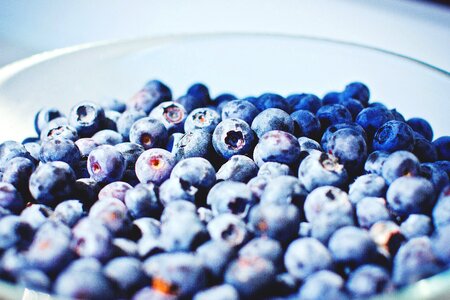 Blue blueberry bowl