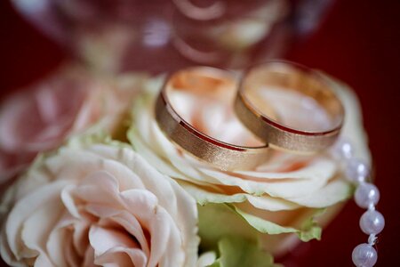 Roses wedding ring gold photo