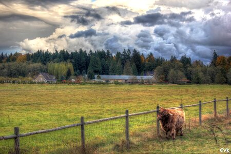 Fence farm nature