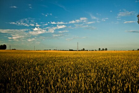 Summer sky blue