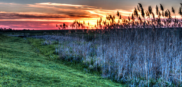 Sunset over the grass and fields in Romania photo