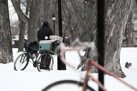 Winter scene cold