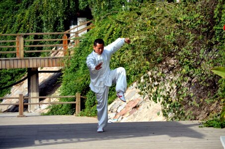 Chinese martial art posture photo