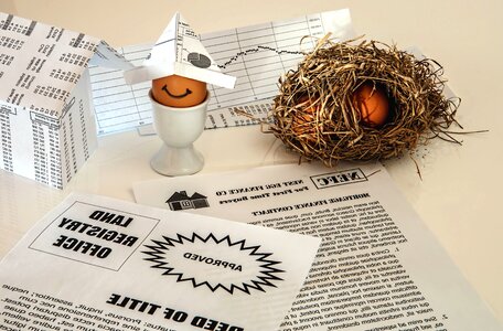 Chicken decoration egg