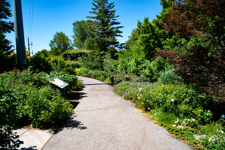 Walk path through the Gardens photo