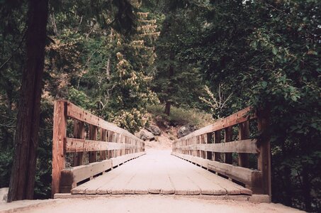 Rustic Wooden Bridge photo