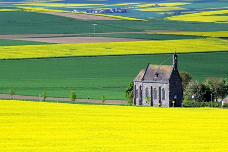 Yellow landscape church