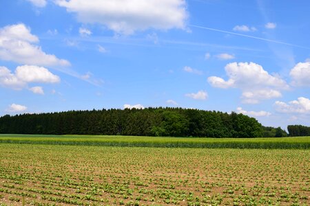 Agriculture cloud countryside photo
