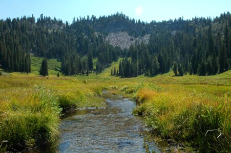 Paradise Meadow Lassen Volcanic National Park photo