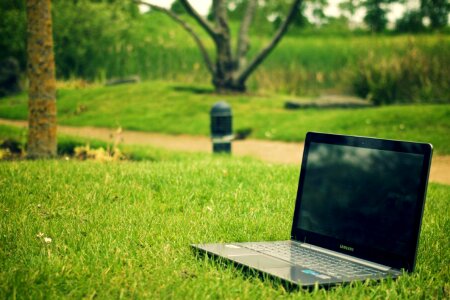 Laptop in Park Free Photo photo