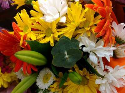 Photo Studio arrangement flowers