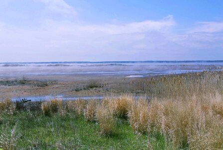 Area impoundment mist
