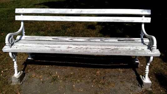 Bench flora foliage
