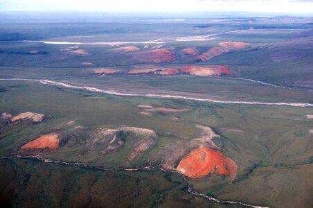 Arctic domestic hill