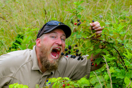 NCTC land management specialist with wild blackberry bushes with berries-1