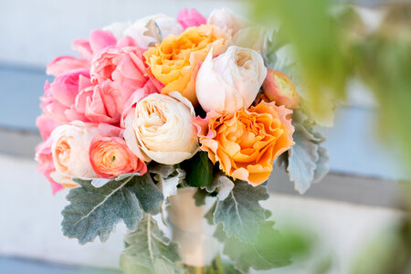 Beautiful Fresh Pink and Orange Roses photo
