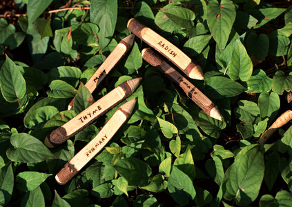 Close up of herbs name tags photo