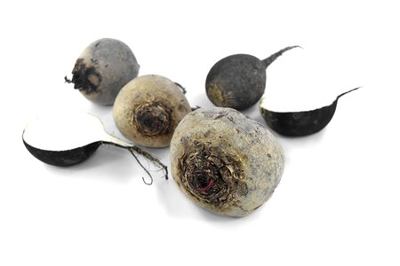 Agriculture antioxidant black