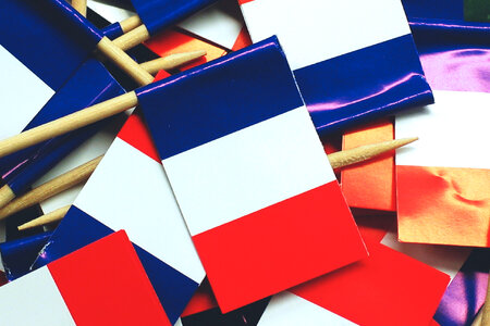 French Flags photo