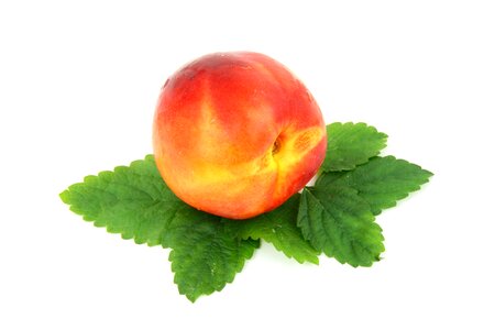 Isolated leaf nectarine