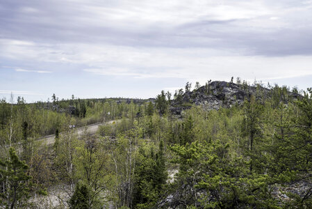 Hilltops with trees and landscapes on the Ingraham Trail photo