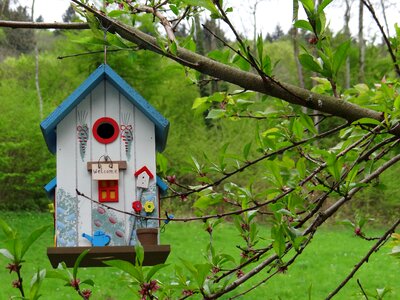 Nesting box bird treehouse