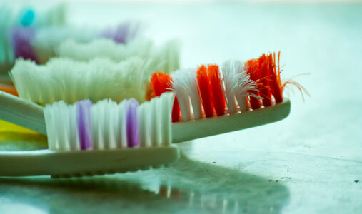 Colorful Toothbrushes photo