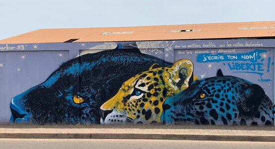 Graffiti street art color photo