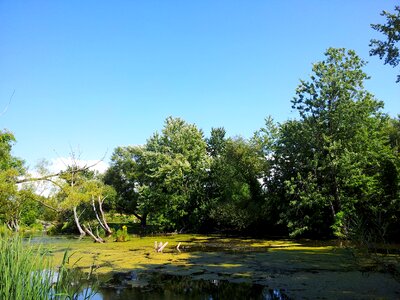 Landscape wilderness scenery