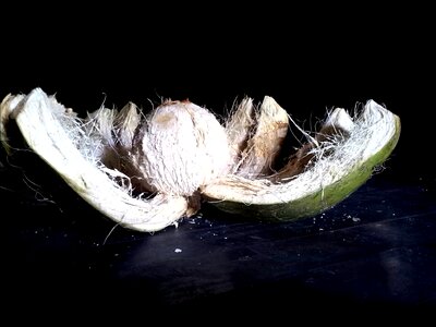 Ripe healthy fresh