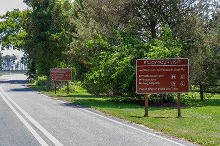 Blackwater NWR regulation signs along road
