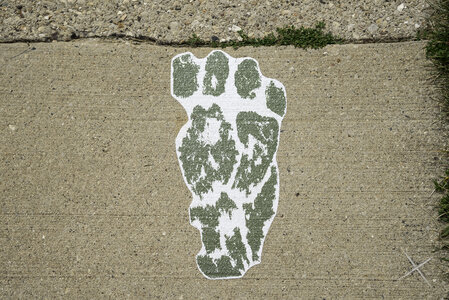 Troll Footprint on the sidewalk in Mount Horeb photo