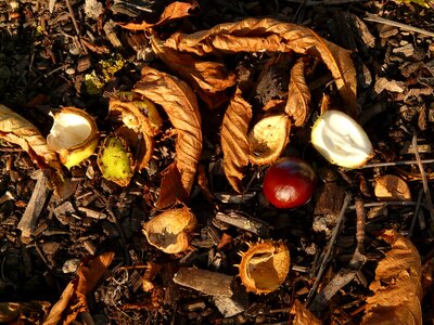 Concerns ground collect