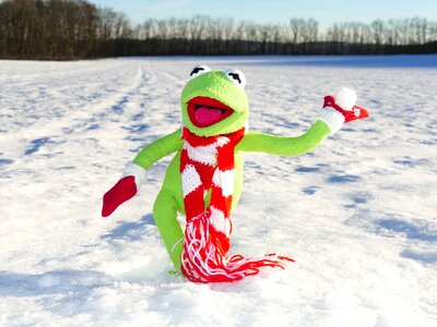 Frog funny toy