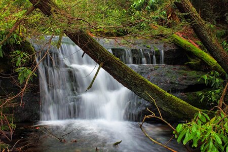 Bridge creek landscape