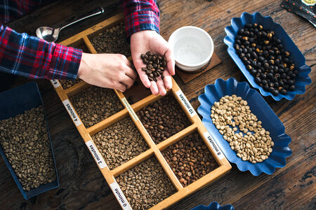 Types of roasted coffee beans photo