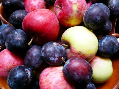Apple plum fruit photo