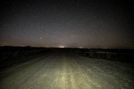 Stars above the path at Crex meadows photo