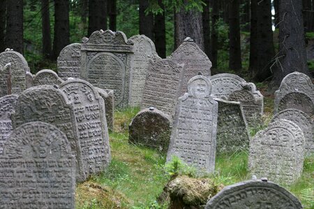 Grave stone forest