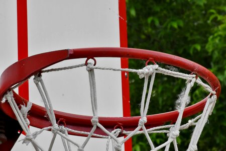 Web basket recreation photo